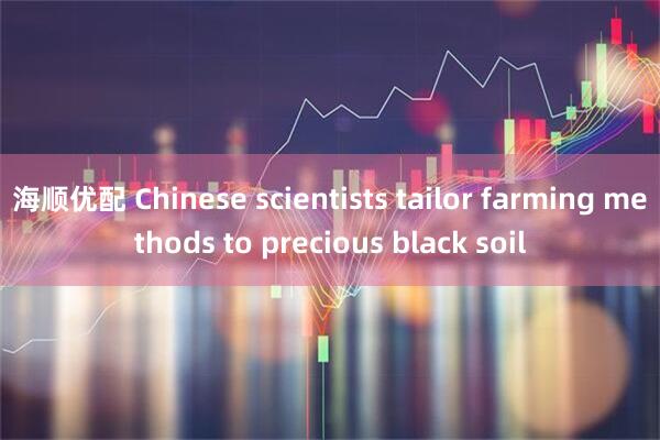 海顺优配 Chinese scientists tailor farming methods to precious black soil