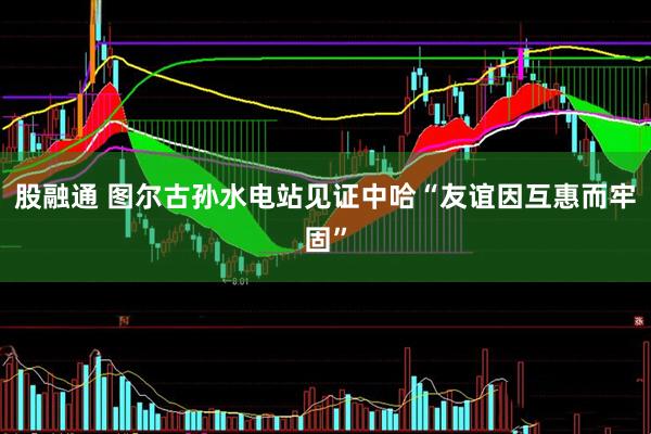 股融通 图尔古孙水电站见证中哈“友谊因互惠而牢固”