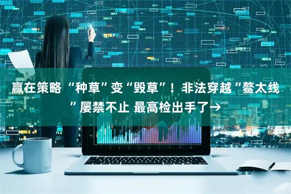 赢在策略 “种草”变“毁草”！非法穿越“鳌太线”屡禁不止 最高检出手了→