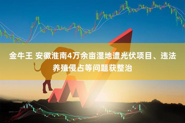 金牛王 安徽淮南4万余亩湿地遭光伏项目、违法养殖侵占等问题获整治