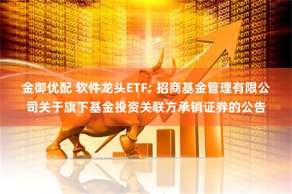 金御优配 软件龙头ETF: 招商基金管理有限公司关于旗下基金投资关联方承销证券的公告