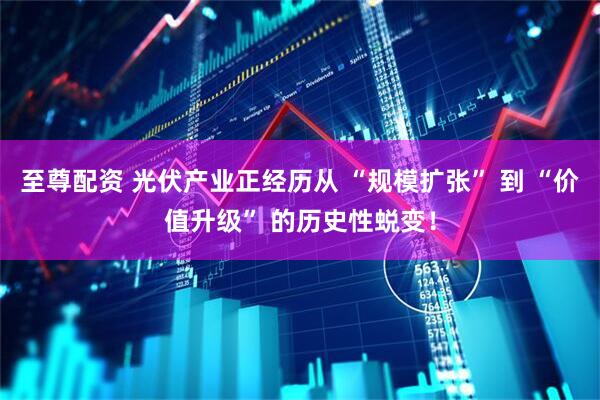 至尊配资 光伏产业正经历从 “规模扩张” 到 “价值升级” 的历史性蜕变！
