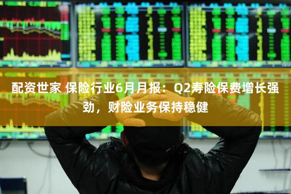 配资世家 保险行业6月月报：Q2寿险保费增长强劲，财险业务保持稳健