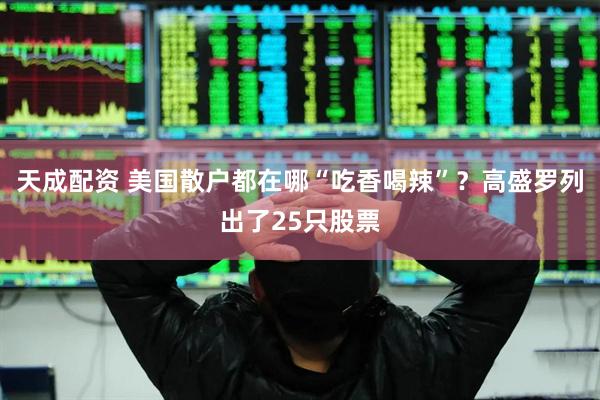 天成配资 美国散户都在哪“吃香喝辣”？高盛罗列出了25只股票