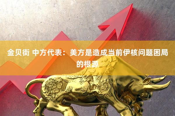 金贝街 中方代表：美方是造成当前伊核问题困局的根源