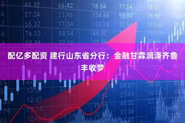 配亿多配资 建行山东省分行：金融甘霖润泽齐鲁丰收梦