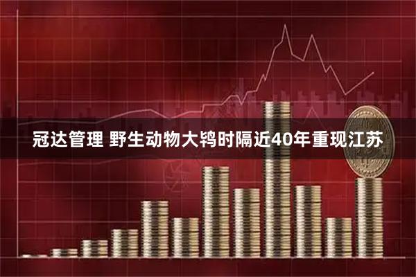 冠达管理 野生动物大鸨时隔近40年重现江苏