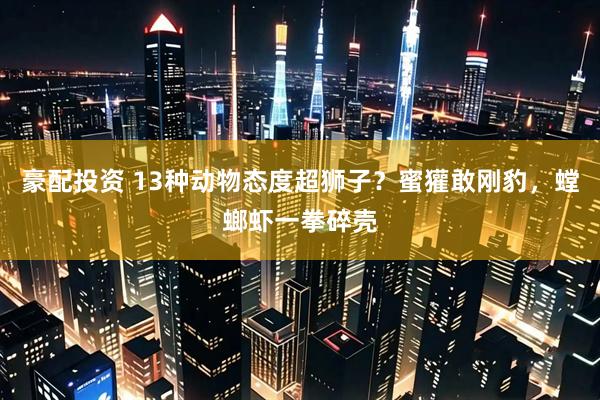 豪配投资 13种动物态度超狮子？蜜獾敢刚豹，螳螂虾一拳碎壳