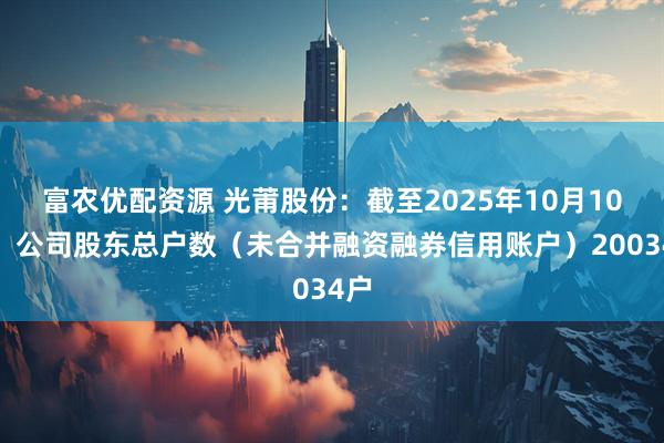 富农优配资源 光莆股份：截至2025年10月10日，公司股东总户数（未合并融资融券信用账户）20034户
