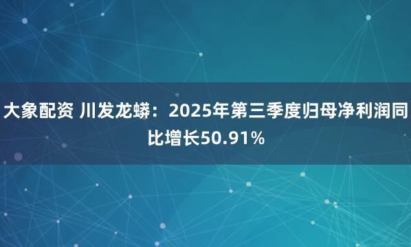大象配资 川发龙蟒：2025年第三季度归母净利润同比增长50.91%