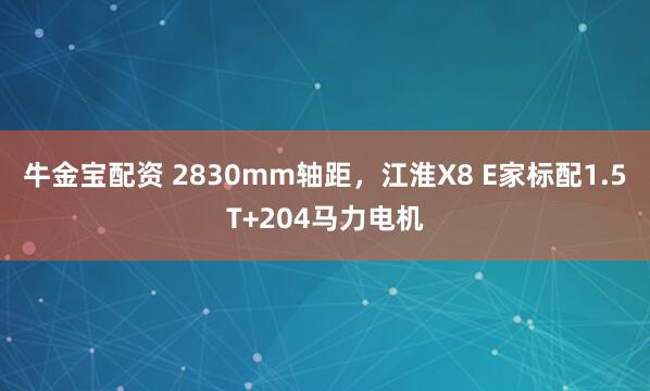 牛金宝配资 2830mm轴距，江淮X8 E家标配1.5T+204马力电机