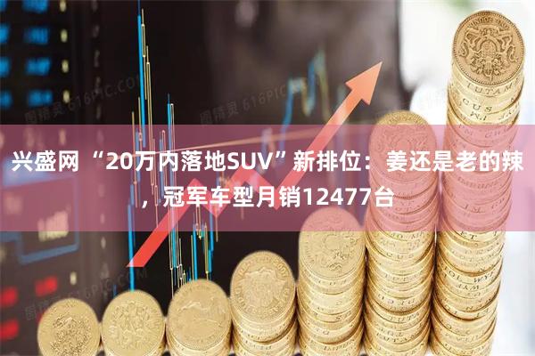 兴盛网 “20万内落地SUV”新排位：姜还是老的辣，冠军车型月销12477台